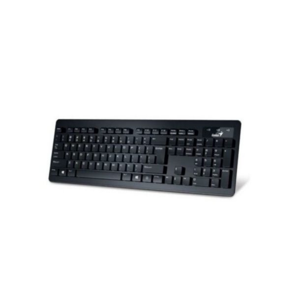 Teclado Genius  Slimstar 230 USB Alambrico Negro