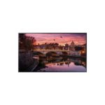 Samsung Monitor Industria  QB50R LED de 50