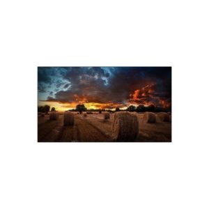 Samsung Monitor Industrial VM55T-U 55
